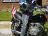bikerflag.jpg (156590 bytes)